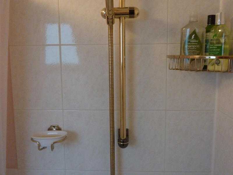 Shower Attachment with hose and slider bar, in gold colour