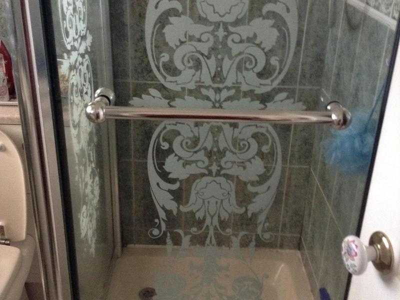 Shower door and side panel