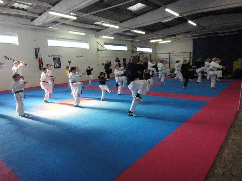 Shugyou Shotokan Karate