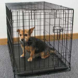 SINGLE DOOR FOLDING DOG CRATE (pets at home)