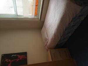 Single room available now in town centre