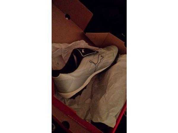 size 12 Puma astroturf trainers