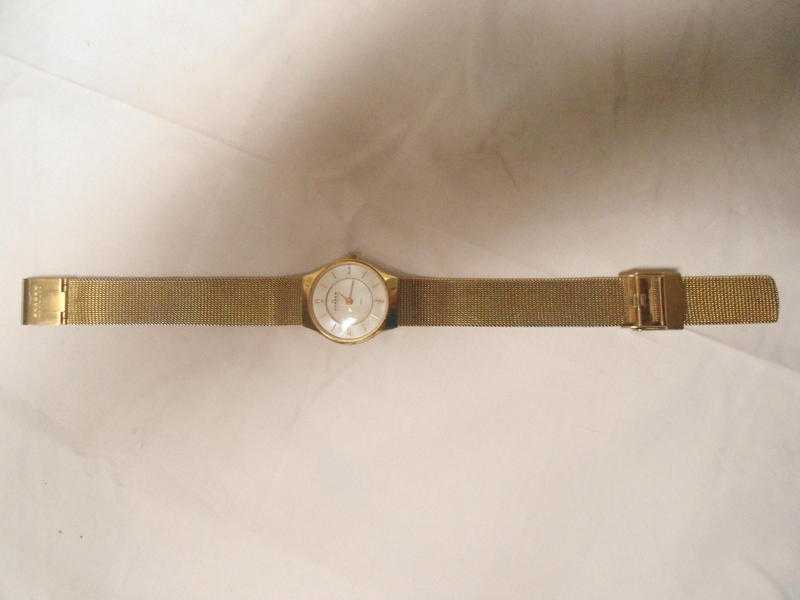 Skagen Danish Woman039s Watch