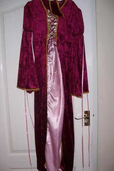 Sleeping beauty 11-14 costume