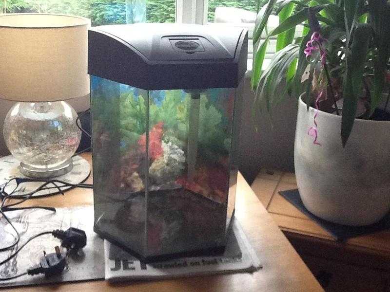 Small aquarium