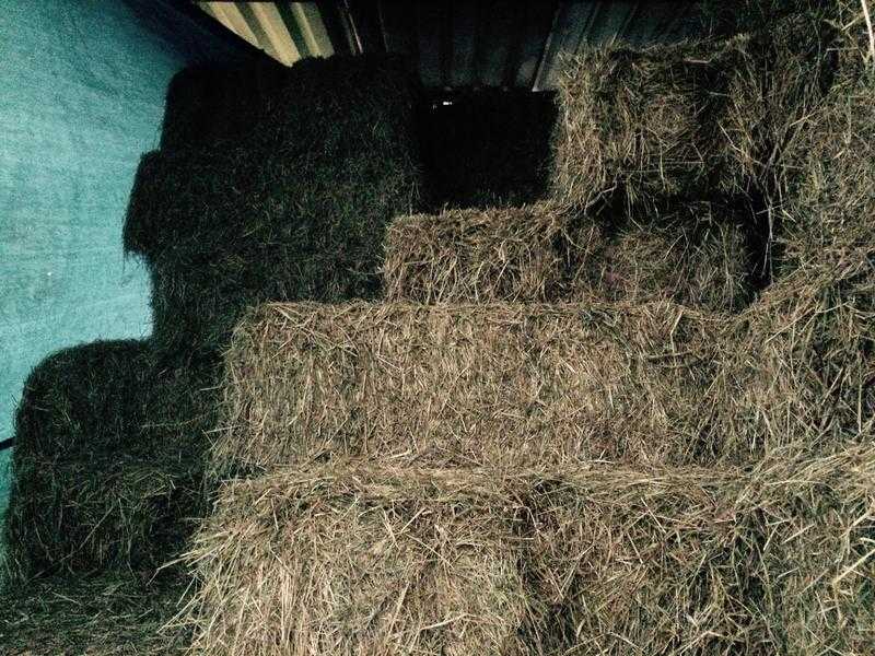 Small Bale Hay for Sale North Bristol