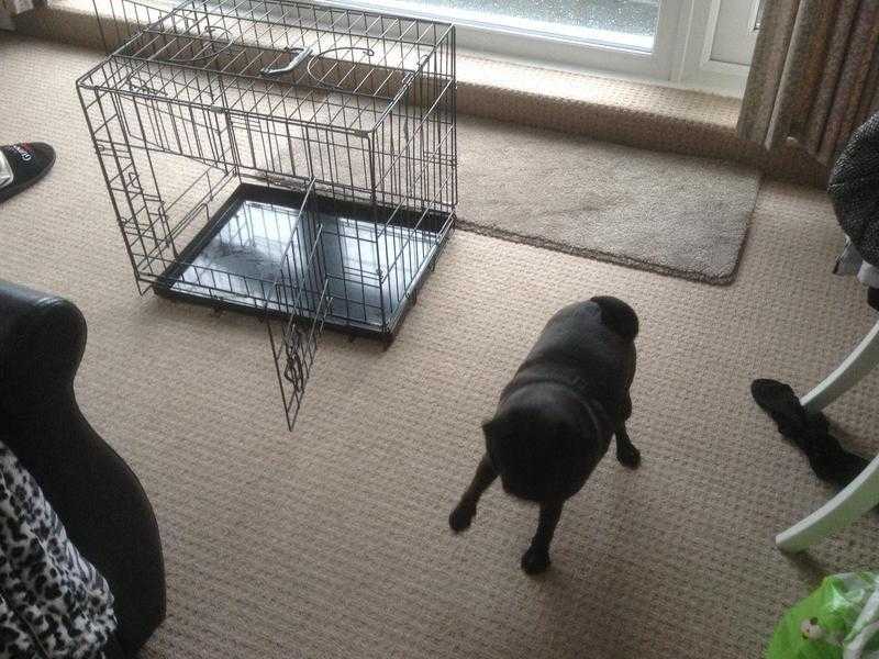 Small dog crate