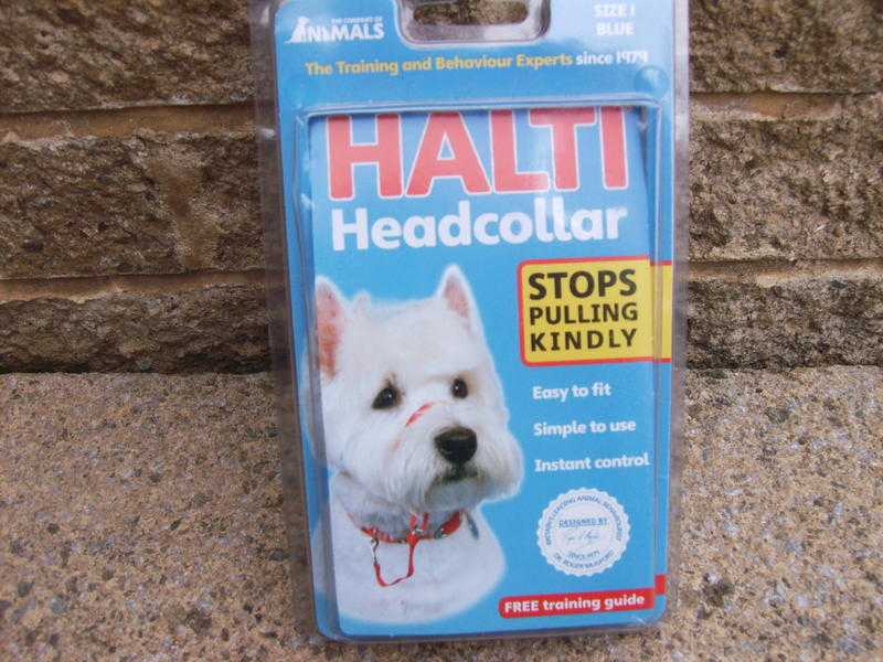 small dogs halti head collar