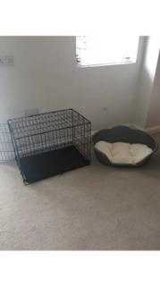 Small Training Crate and Bed