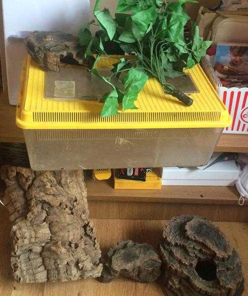 Small Viv with accessories