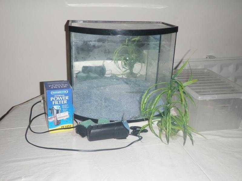 SmallMedium Size Fish Tank for sale