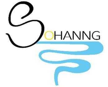 Sohanng Managed IT Services and Support