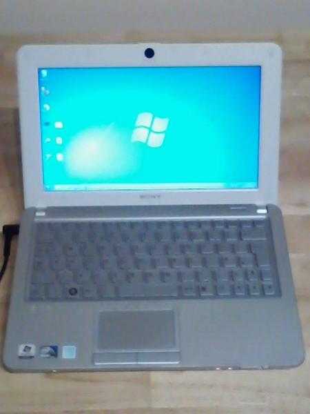 Sony Vaio PCG-4V1M netbook