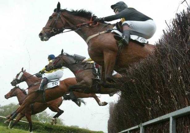 SOUTHDOWN AND ERIDGE POINT TO POINT HORSE RACING - BOOK TICKETS ONLINE AT WWW.SEHPTP..CO.UK