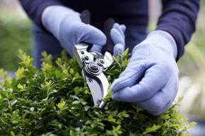 Southport Gardening Services
