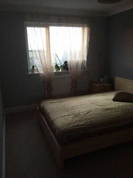 Spacious double room for rent