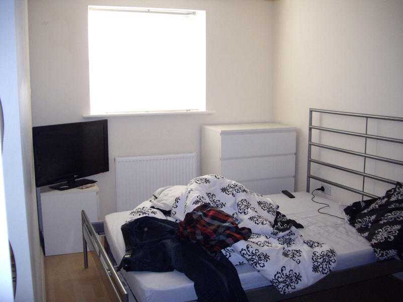 Spacious double room to let