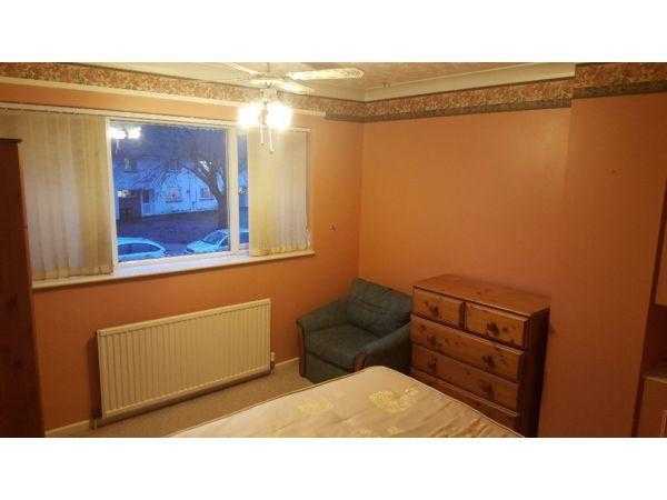 Spacious Double room to let in cosy shared house