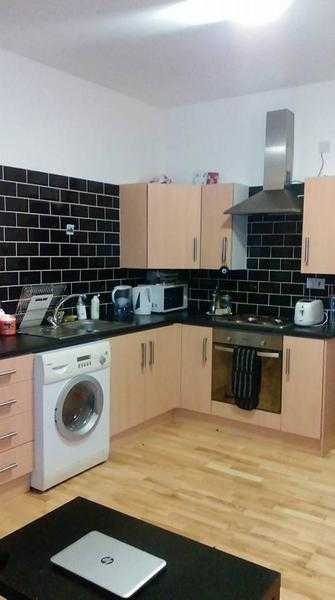 Spacious one bedroom apartment, near Leeds University, LGI and City Centre