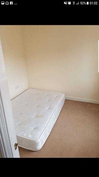 Spacious Single Room for Rent in Quiet Hampton Vale Suburb