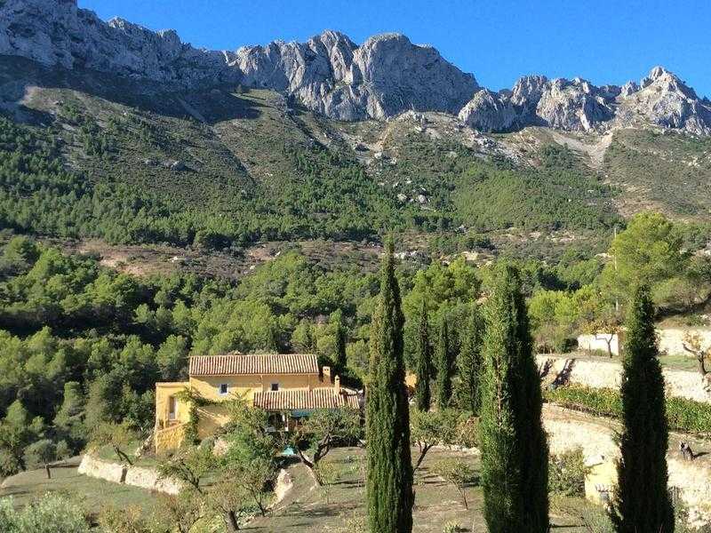 Spain self catering holiday cottage in beautiful peaceful area on an olive farm with small vineyard