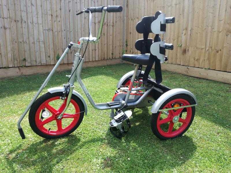 special needs  child039s trike