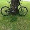 Specialised stump jump carbon fibre bike