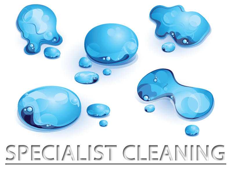 Specialist cleaning services