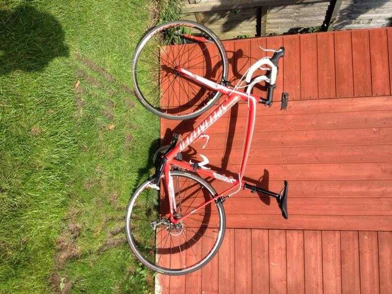 Specialized Allez for sale