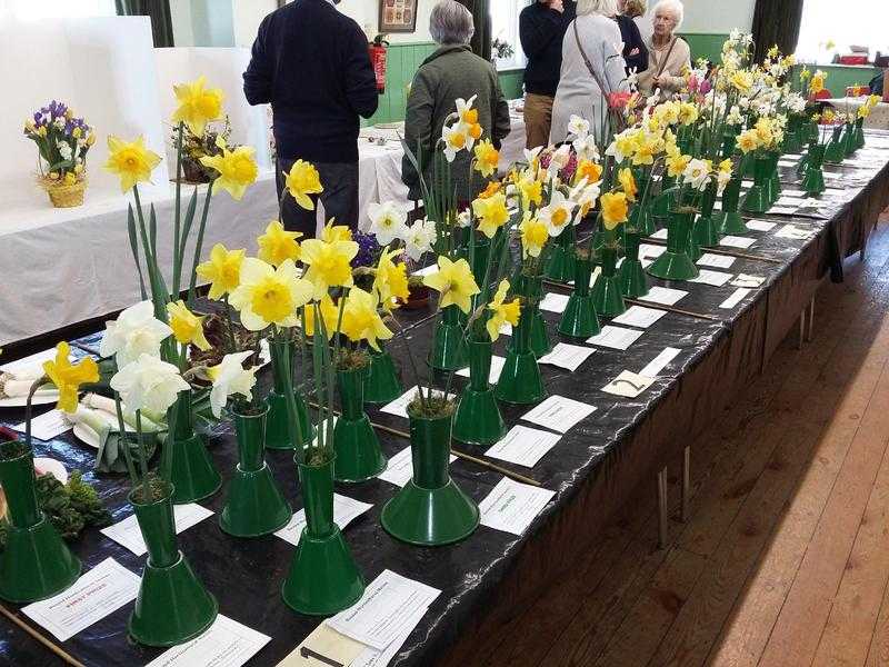 Spring Flower Show