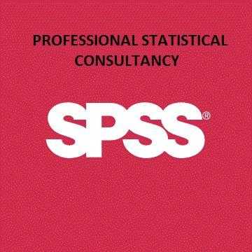 SPSS, AMOS, EXCEL Statistical analyst