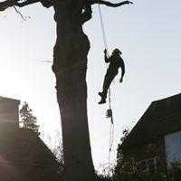 SPW Tree Surgeon  Chipper Hire  Digger Hire