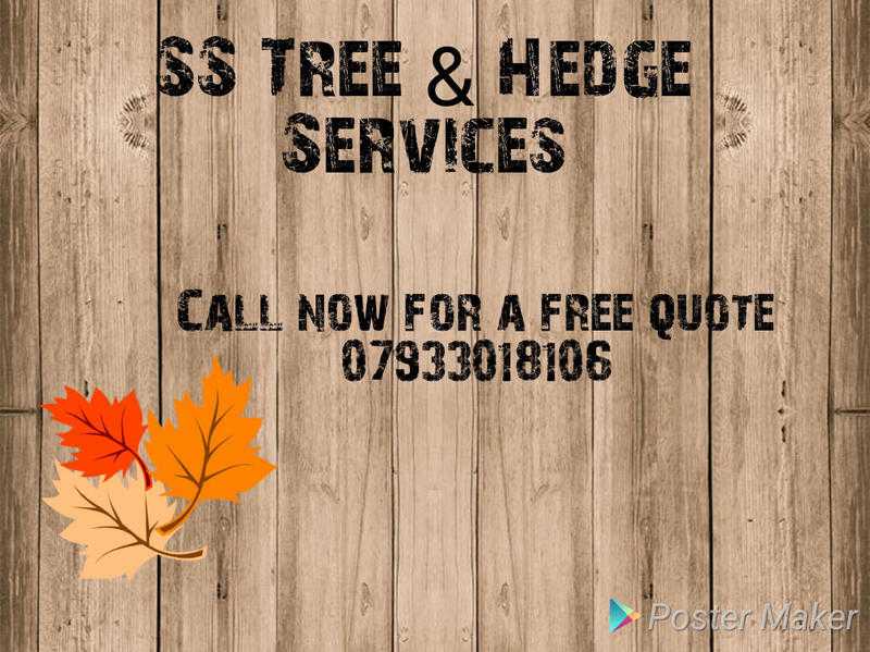 SS Tree amp Hedge Services