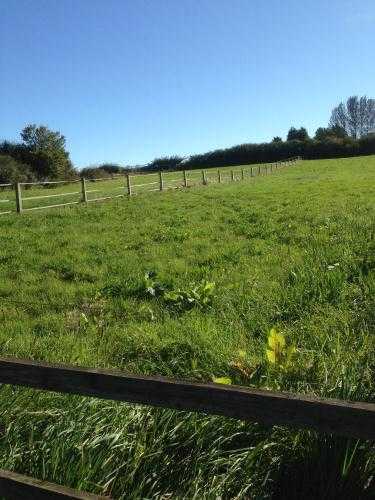 Stable and grazing