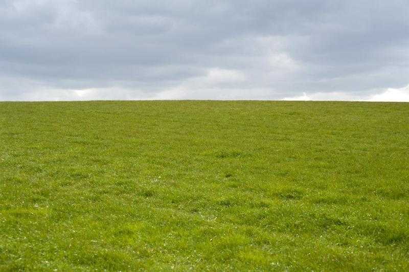 Stabling amp Grazing