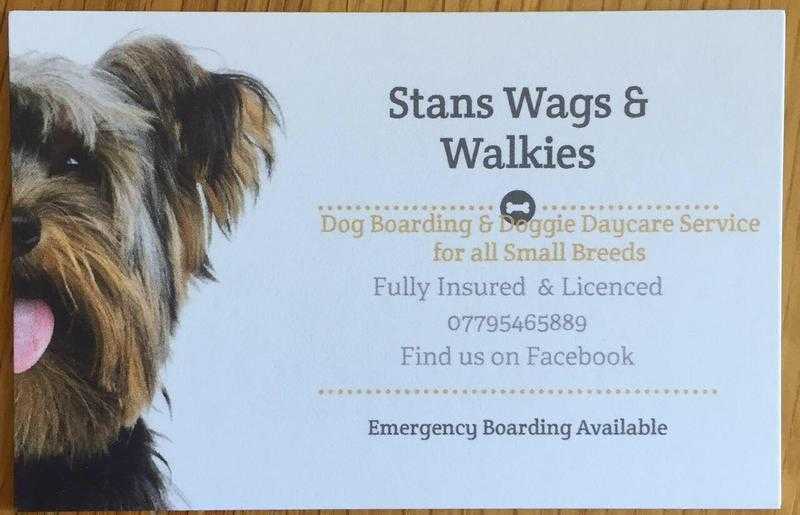 Stans Wags amp Walkies home from home dog boarding and doggy daycare servoce