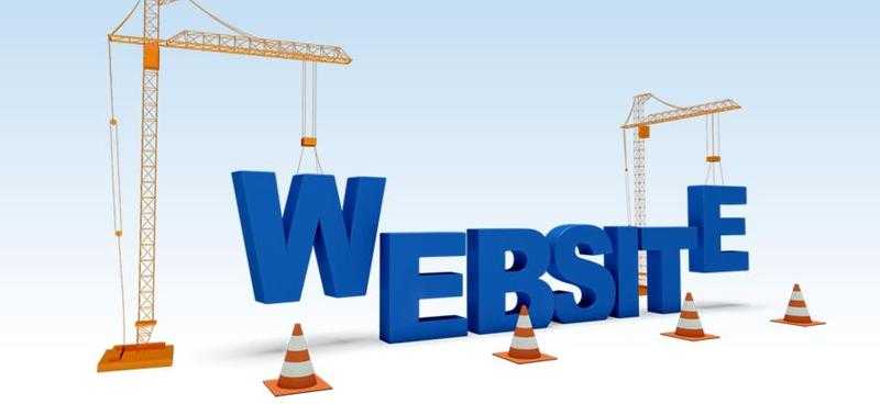 Startup Business Website Design Service