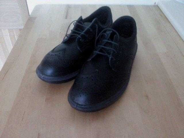 Steel toecap shoes