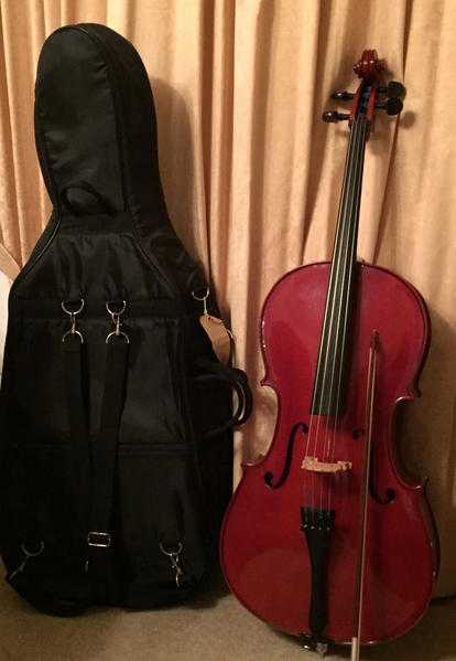 Stentor Student Cello 34 Size