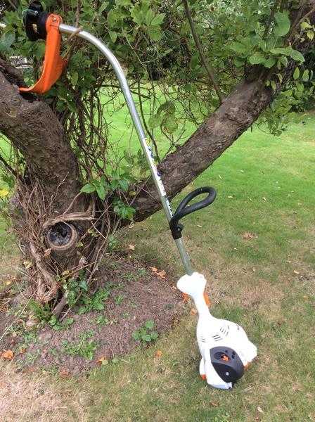 Stihl Petrol Strimmer FS40