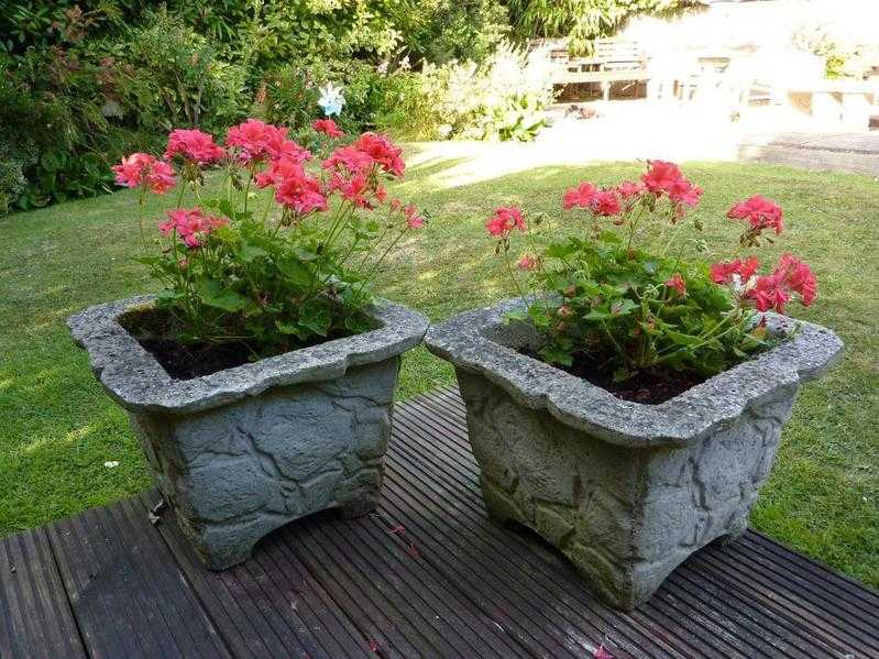 stone planters