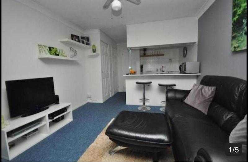 Studio Flat To Rent