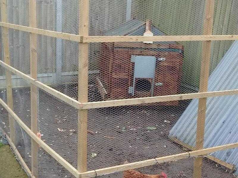 Sturdy Strong Chicken Coop