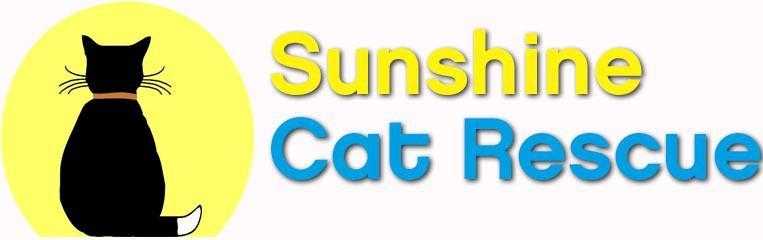 Sunshine Cat Rescue Jumble Sale