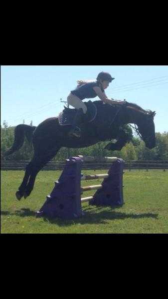 Super fun jumping pony.