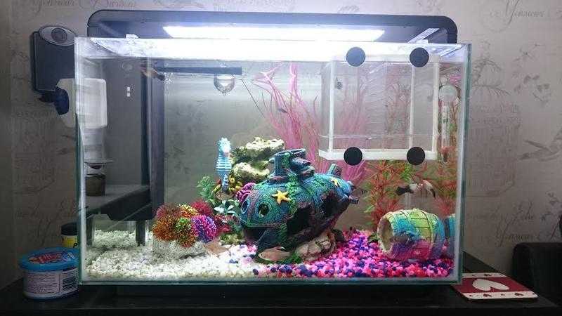 Superfish tropical fish tank 60 litre Compete set up