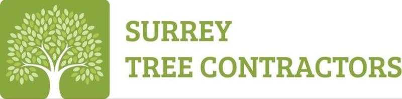 SURREY TREE SURGEONS