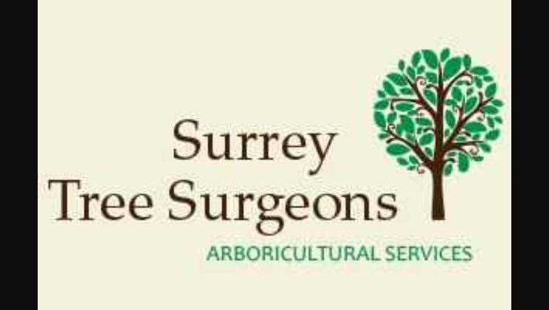 Surrey Tree Surgeons