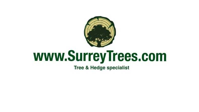 Surrey trees