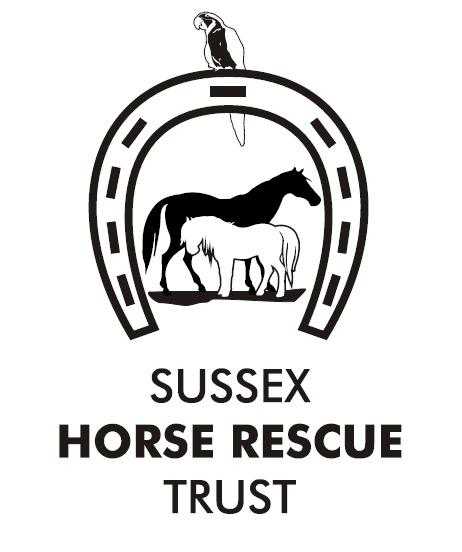 Sussex Horse Rescue Trust Closing Day - Last Chance to visit before we close for Winter